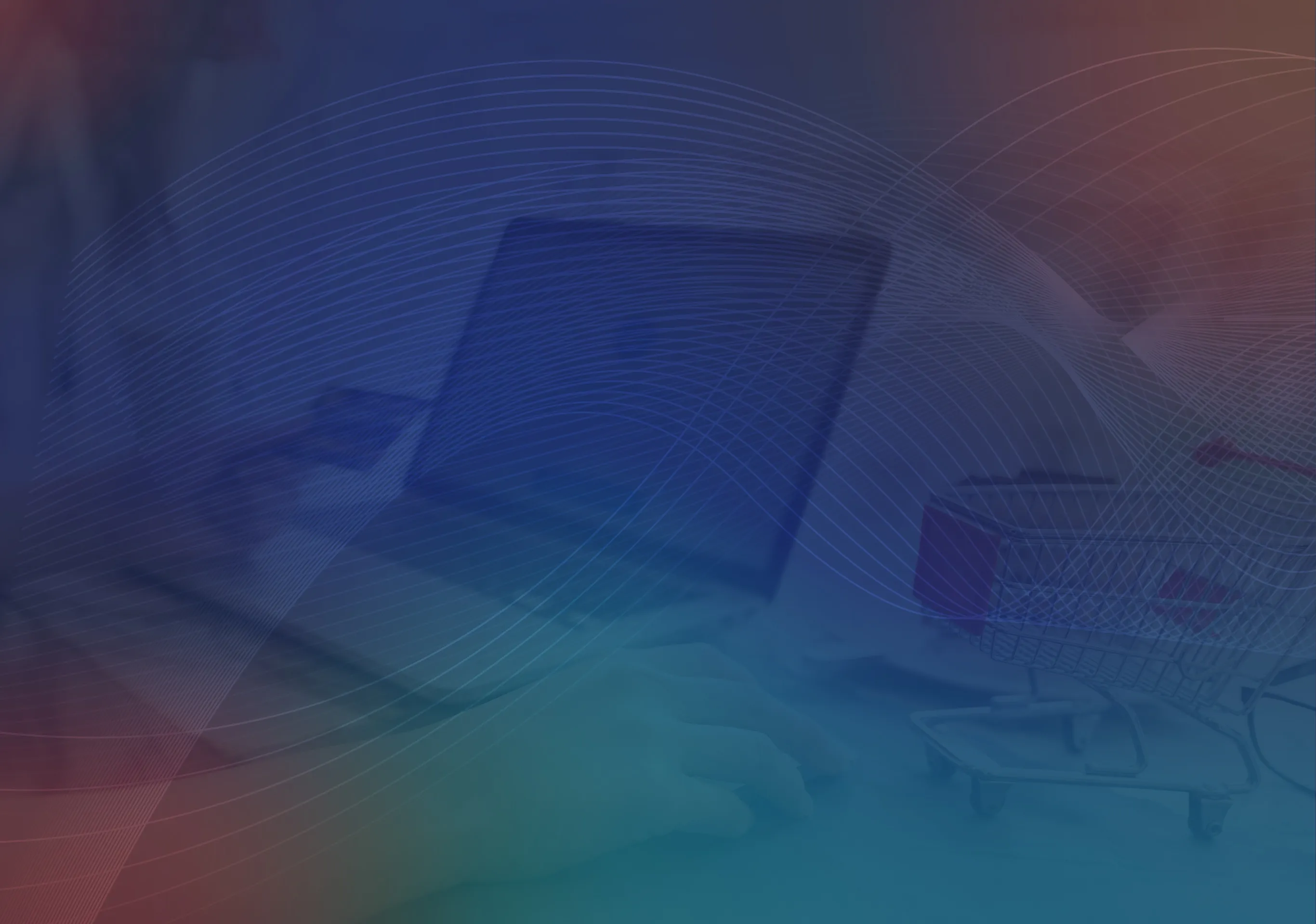 Schedule Your Free Ecommerce Assessment