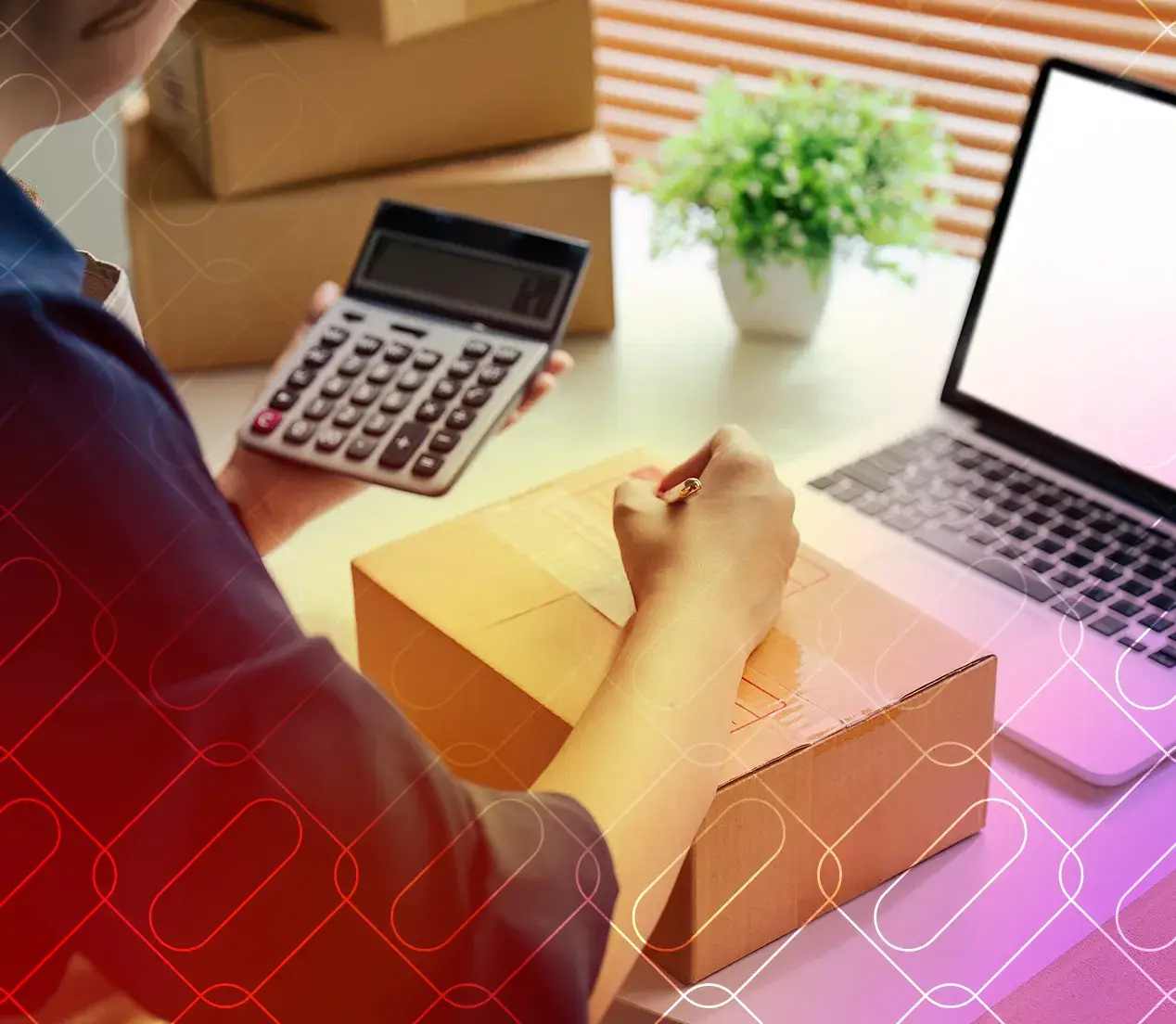 Get OroCommerce Expertise On Your Side With Xngage