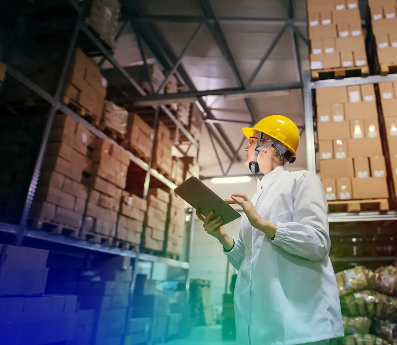 Custom Ecommerce Experiences for Manufacturers & Distributors